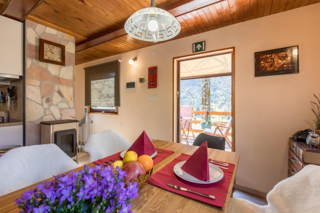 Vila Rozi, Osilnica - Vacation House Pr' Vili Rozi Екстер'єр фото