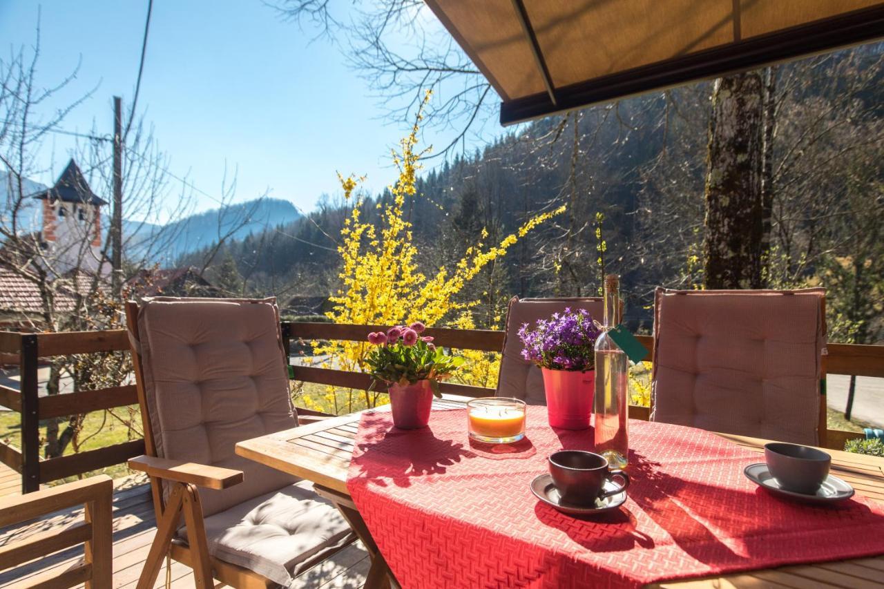 Vila Rozi, Osilnica - Vacation House Pr' Vili Rozi Екстер'єр фото