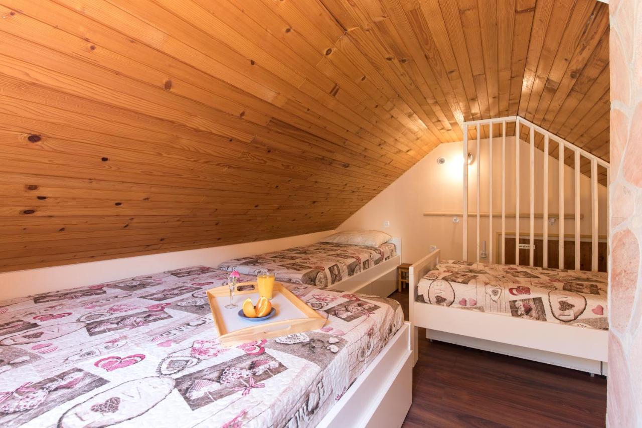 Vila Rozi, Osilnica - Vacation House Pr' Vili Rozi Екстер'єр фото