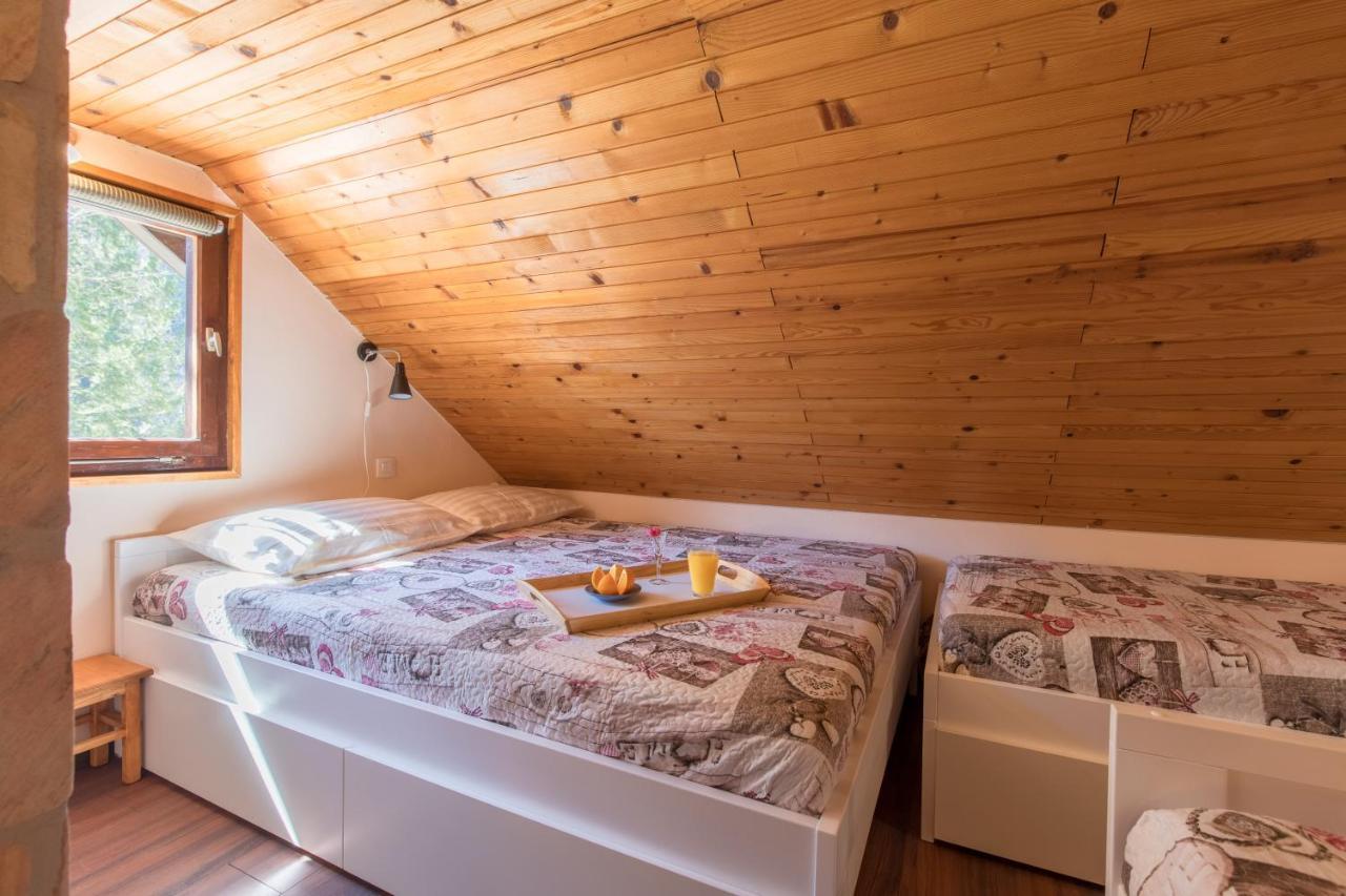 Vila Rozi, Osilnica - Vacation House Pr' Vili Rozi Екстер'єр фото
