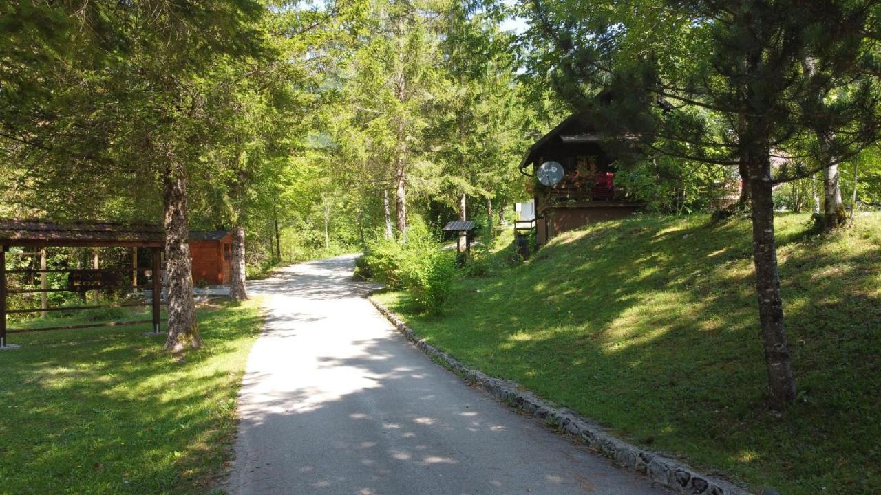 Vila Rozi, Osilnica - Vacation House Pr' Vili Rozi Екстер'єр фото