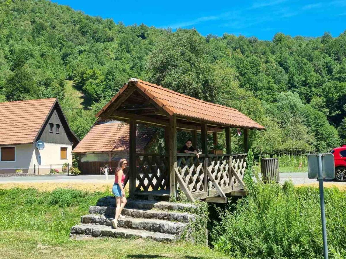 Vila Rozi, Osilnica - Vacation House Pr' Vili Rozi Екстер'єр фото
